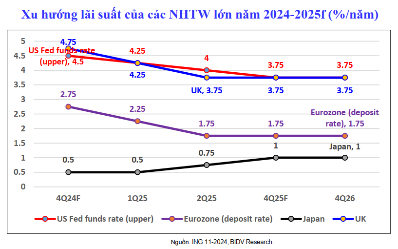 vers2024 tang truong 3